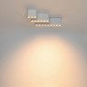 Накладной светильник ODEON LIGHT SMALL 7091/8CL